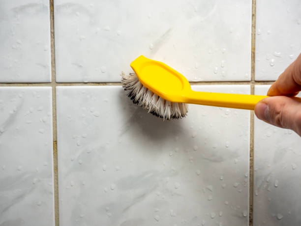 Best Mold Remediation for Specific Building Types in East Dublin, GA