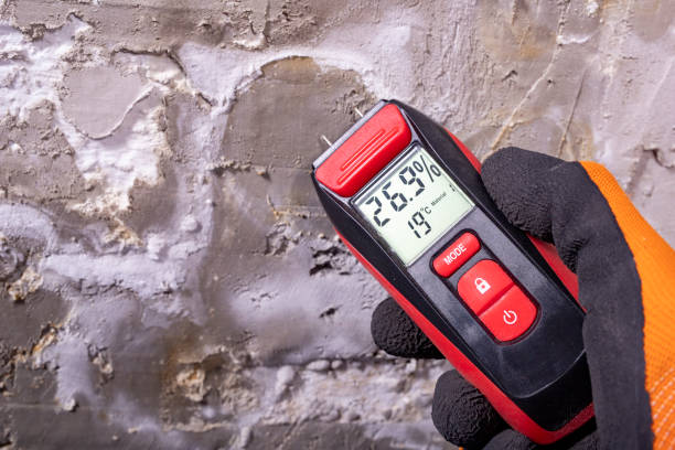 Best Health and Safety Mold Remediation in East Dublin, GA