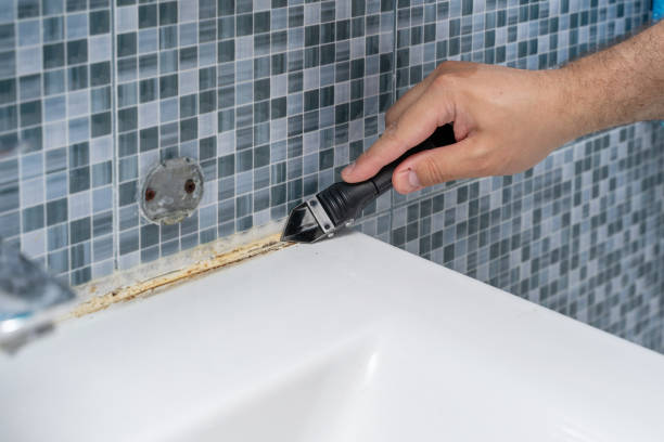 Best Residential Mold Remediation in East Dublin, GA
