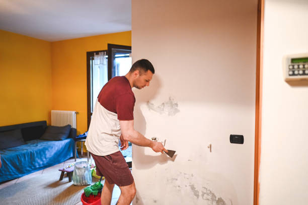 Best Post-Flood Mold Remediation in East Dublin, GA